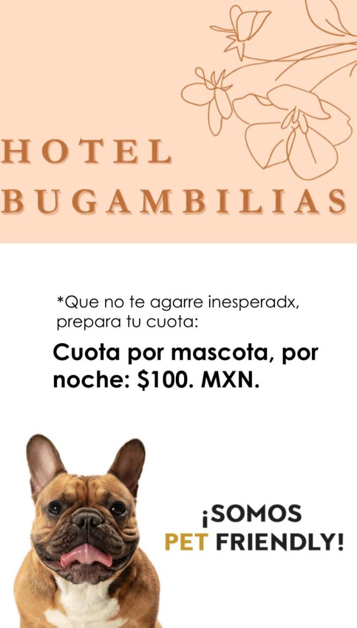 Hotel Bugambilias Oaxaca 外观 照片